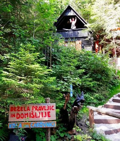 Apartma Pemaks, Terme Olimia